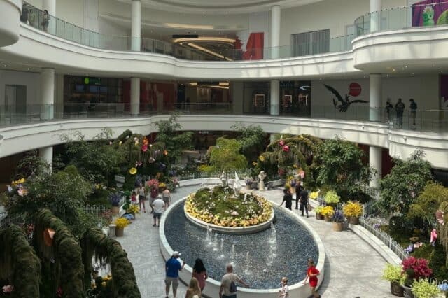 14 New Businesses Coming to East Rutherford's American Dream Mall - The ...