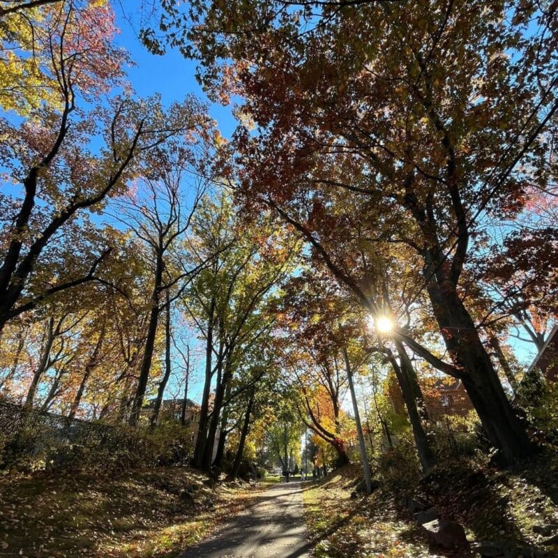 fall things to do bergen county nj
