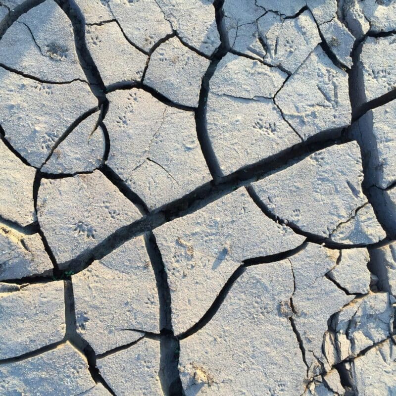earthquakes new jersey 2025