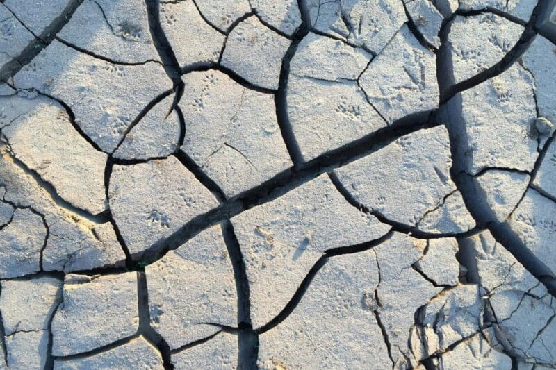 earthquakes new jersey 2025