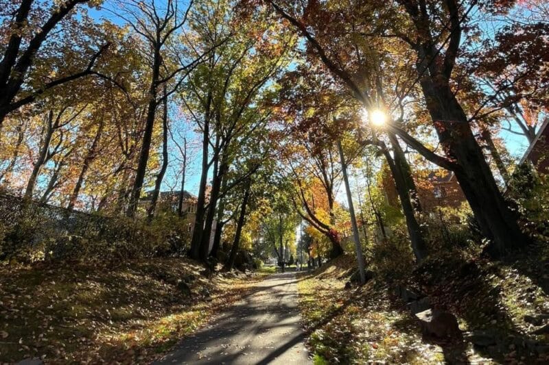 fall things to do bergen county nj