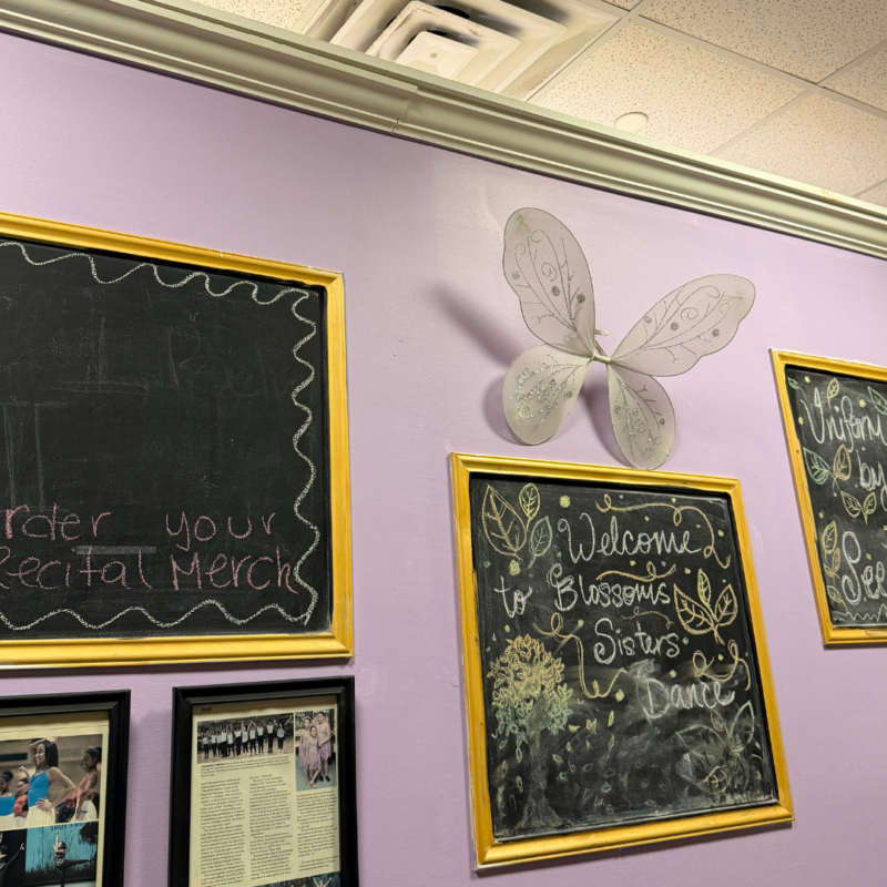 blossom sisters dance studio 