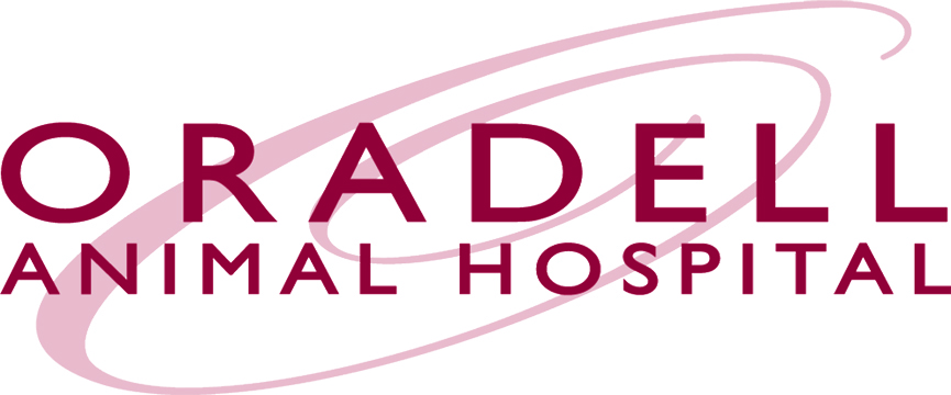 Oradell Animal Hospital