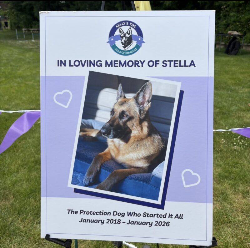 stella dog nj