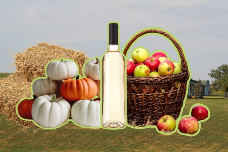 7 boozy fall activities bergen nj 2026