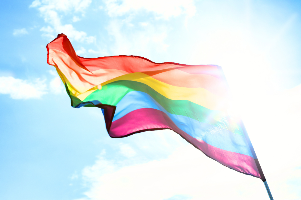 LGBTQ+ Pride Month Movie Screening – “To Wong Foo, Thanks for Everything! Julie Newmar”