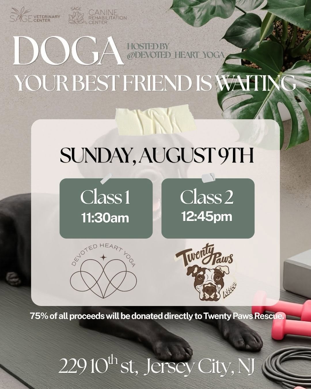 Doga: Your Best Friend is Waiting