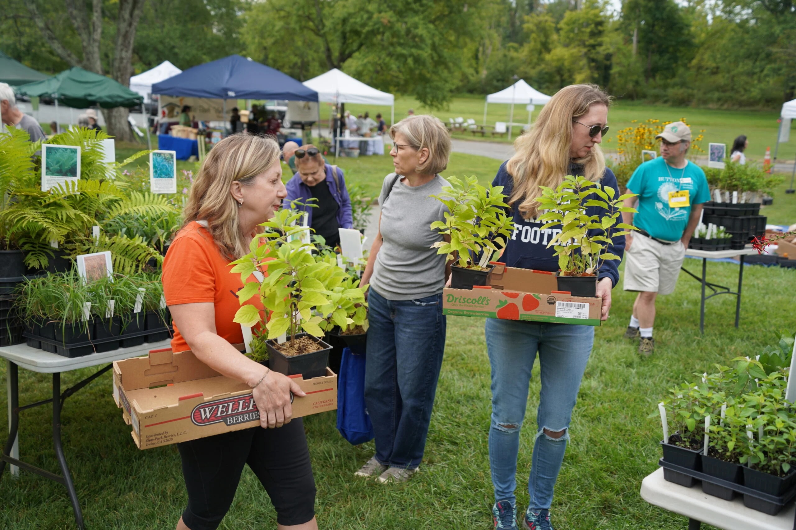 Fall Native Plants Sale at Morven Park