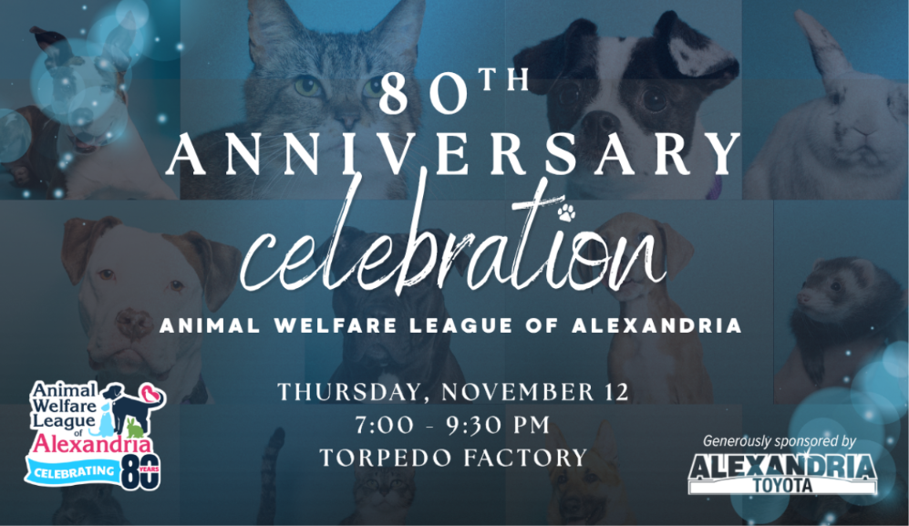 Animal Welfare League of Alexandria: 80th Anniversary Celebration
