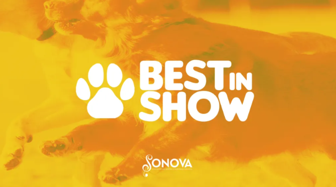 “Best in Show” Concert and Adoption Event by AWLA + SONOVA