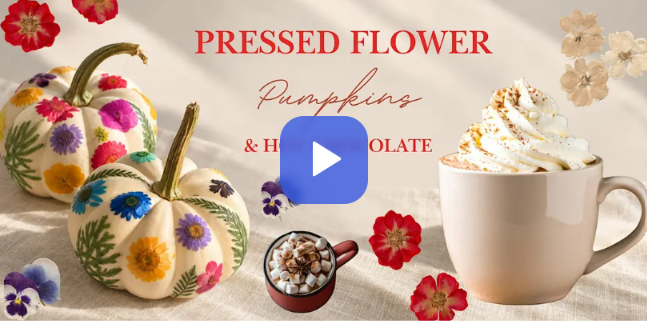 Pressed Flower Pumpkin Decorating + Hot Chocolate – Sip and Craft in Arlington
