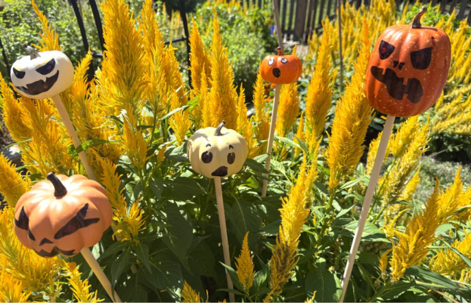 BOOtanical Halloween Scavenger Hunt at Meadowlark Botanical Gardens in Vienna