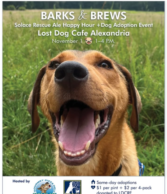 Barks + Brews at Lost Dog Cafe in Alexandria
