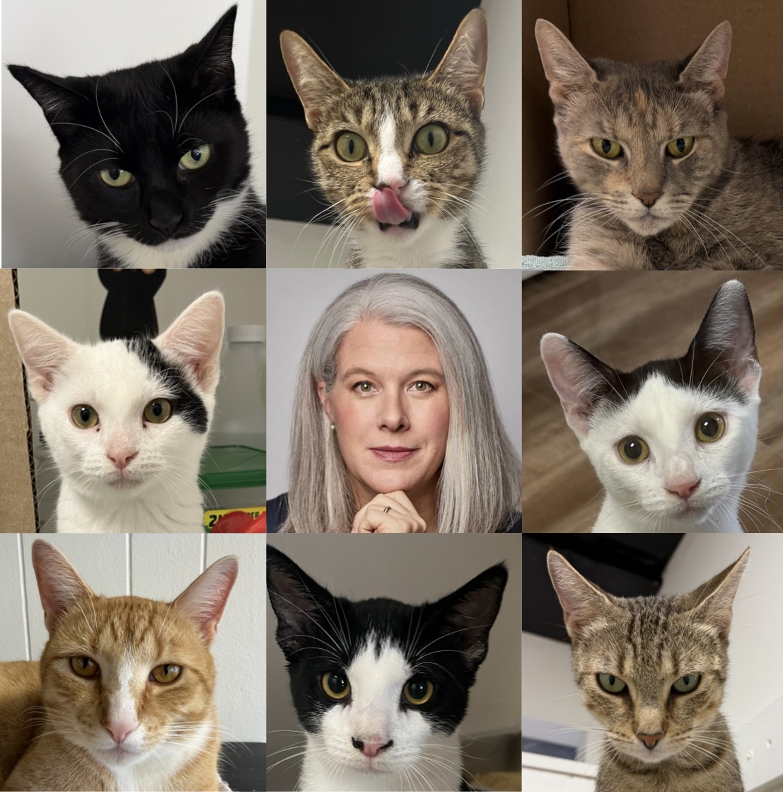 Literary Happy Hour with Cats
