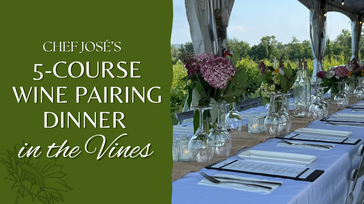 Wine Pairing Dinner in the Vines at Old York Cellars Winery
