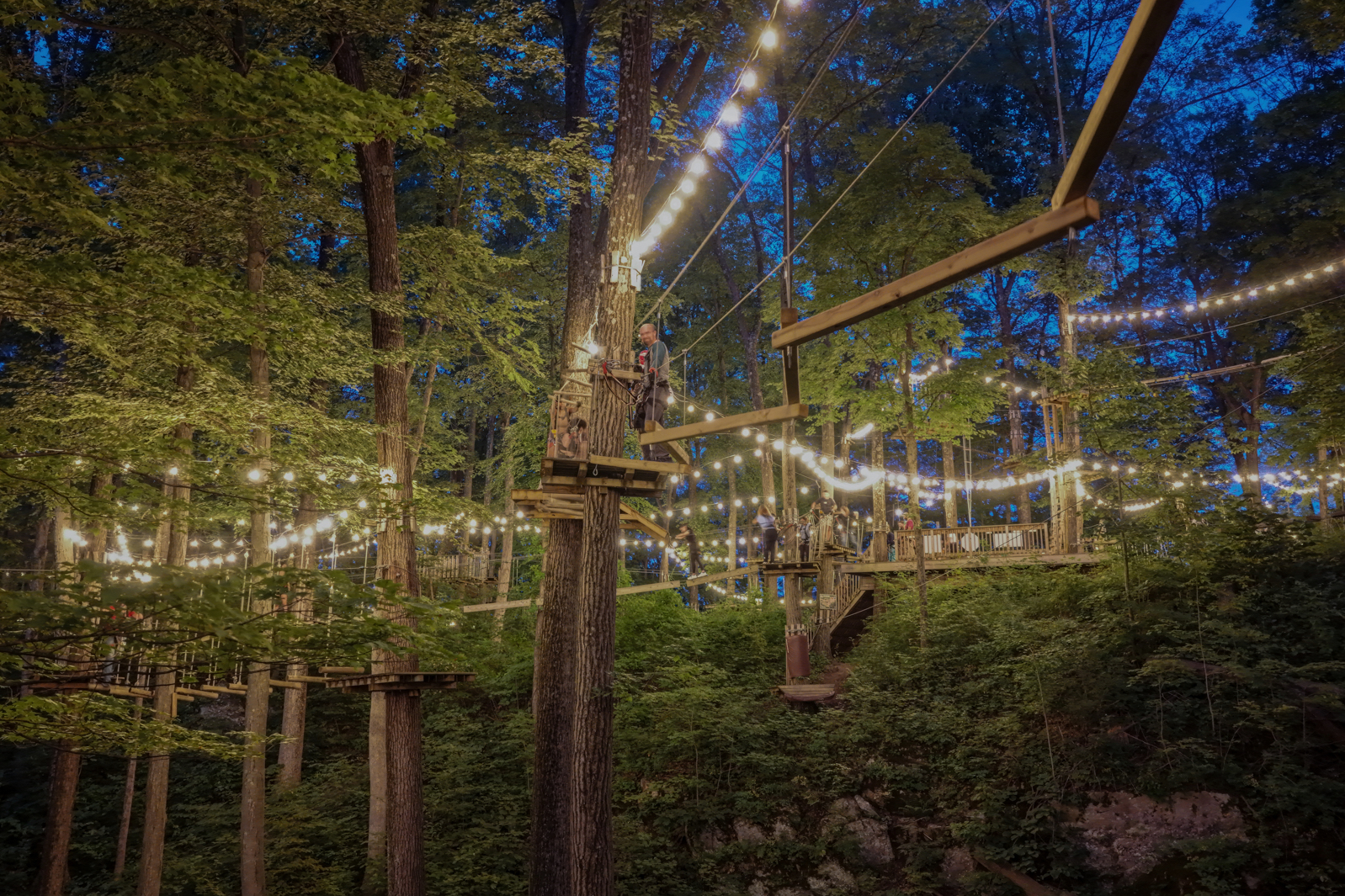 TreEscape Aerial Adventure Park Night Climb