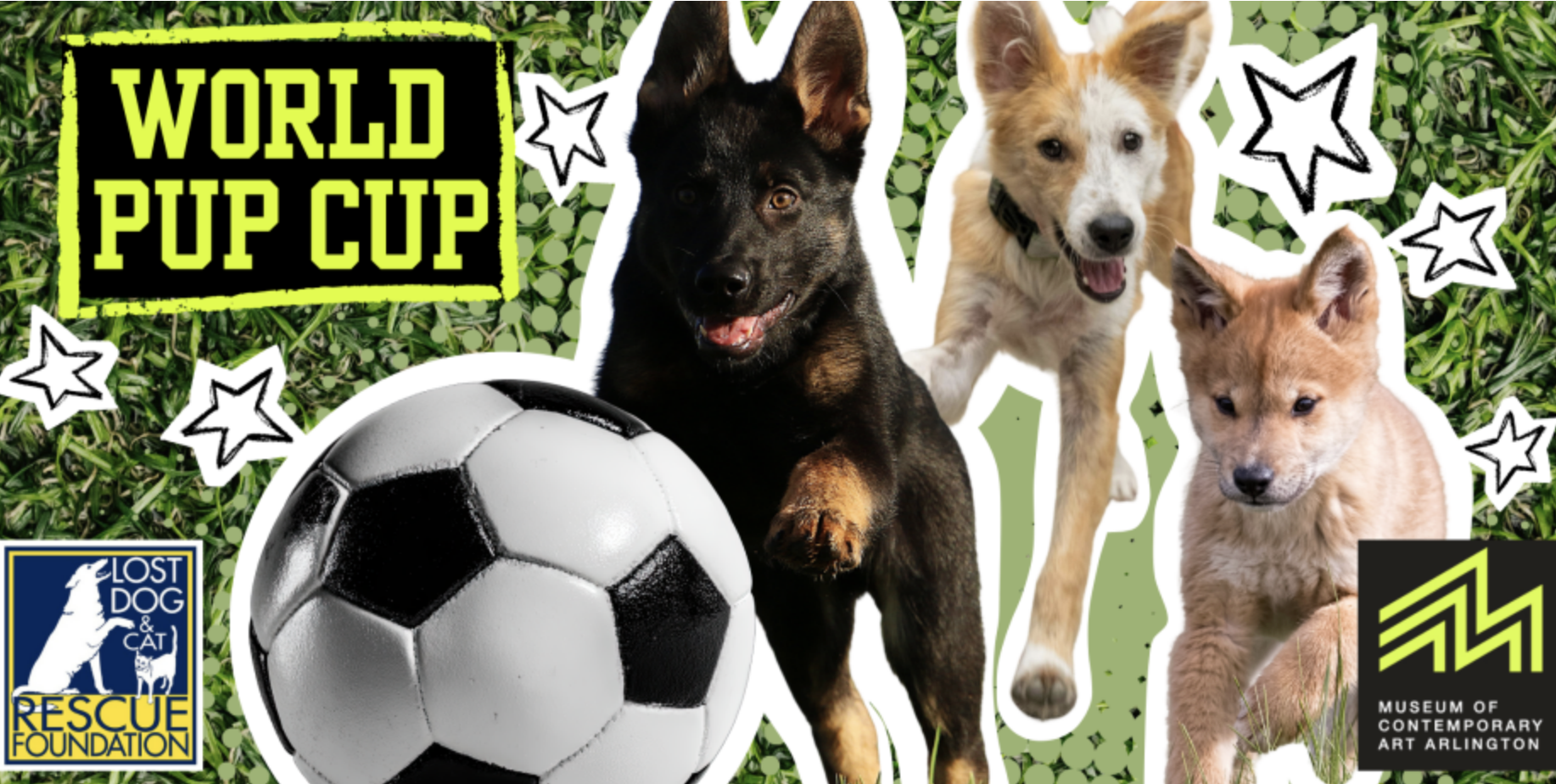 World Pup Cup @ Met Park