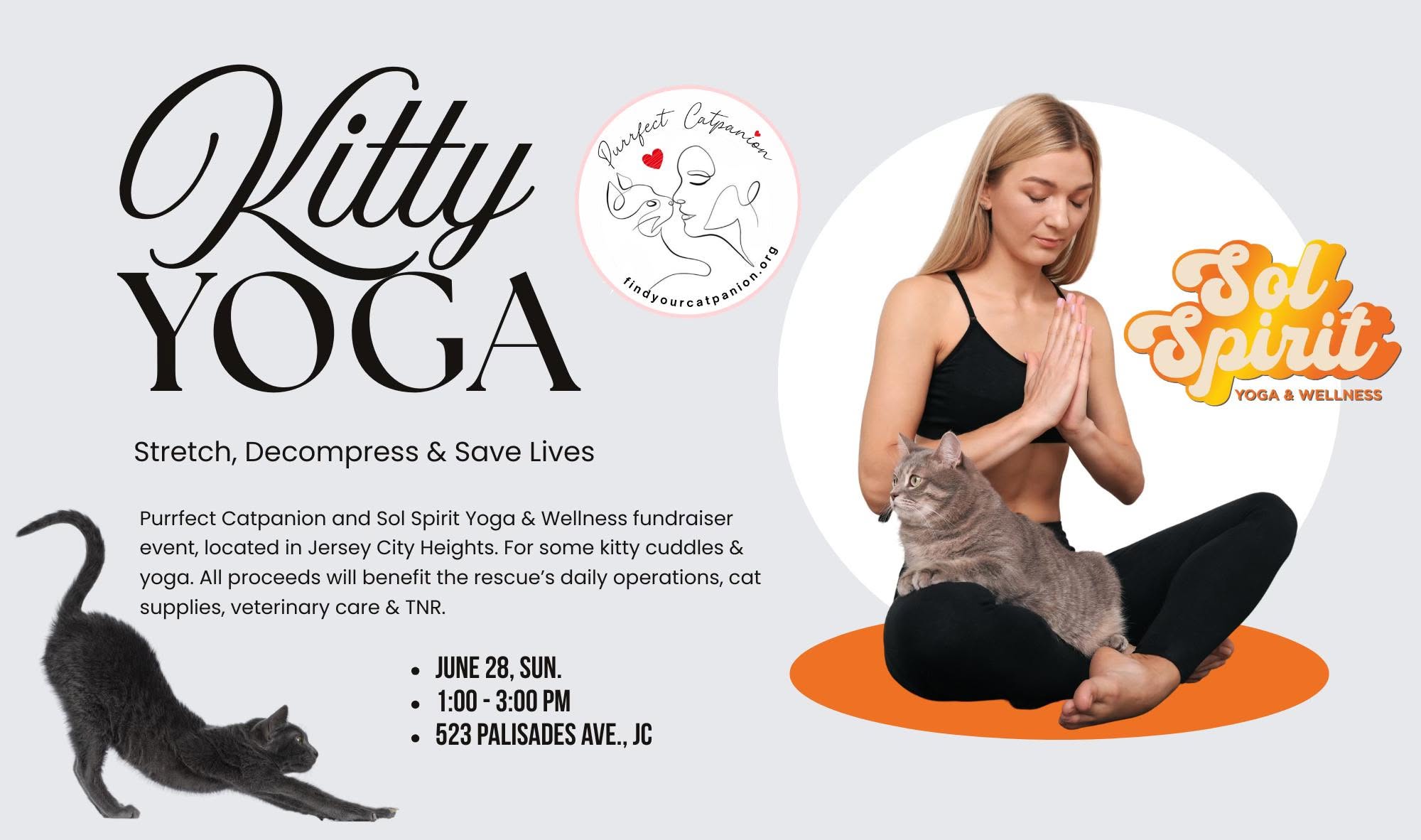 Cat Yoga