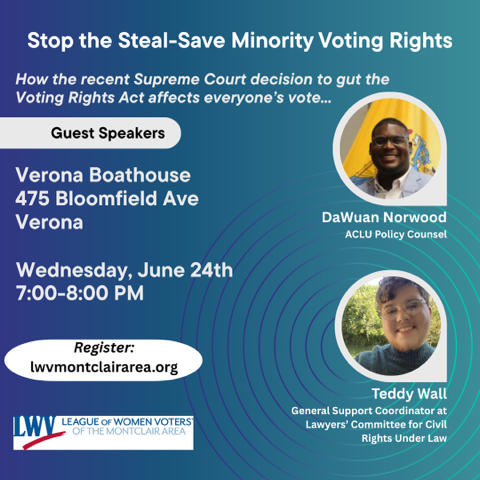 Stop the Steal – Save Minority Voting Rights