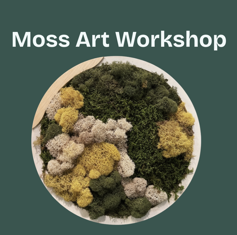 Moss Art Workshop
