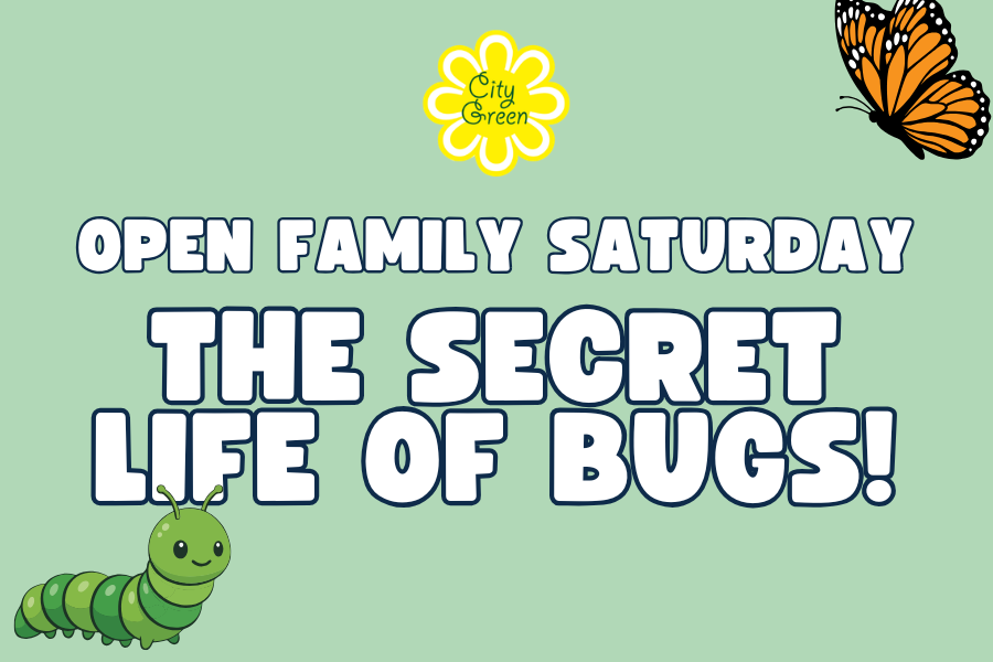 July Open Family Saturday: The Secret Life of Bugs!