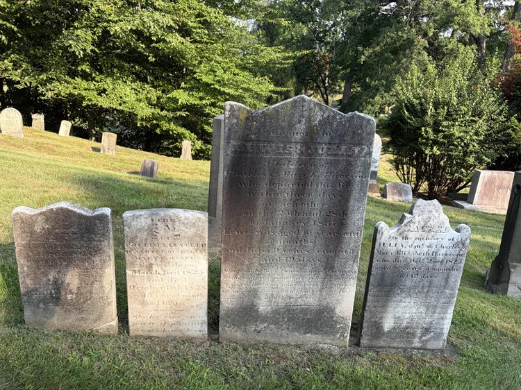 Rosedale Cemetery Tour – Carriage Route Tour