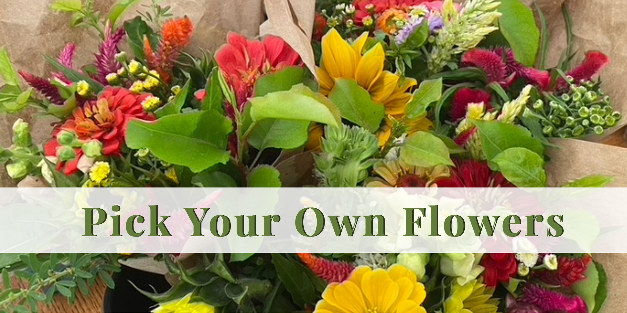 Pick Your Own Flowers