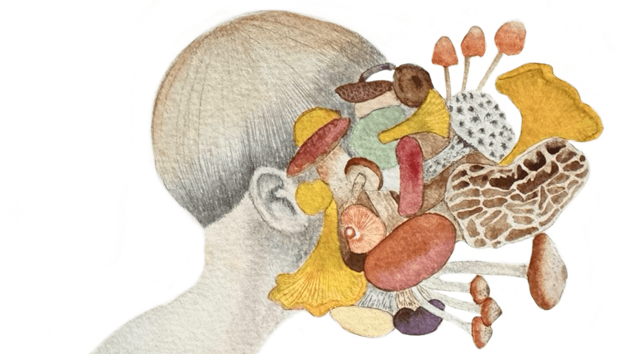 Wild & Curious: Sunday Mushroom walk in Central Park