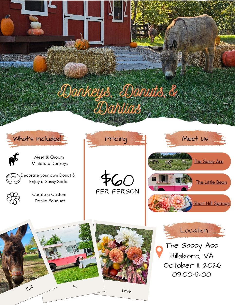 Donkeys, Donuts, and Dahlias