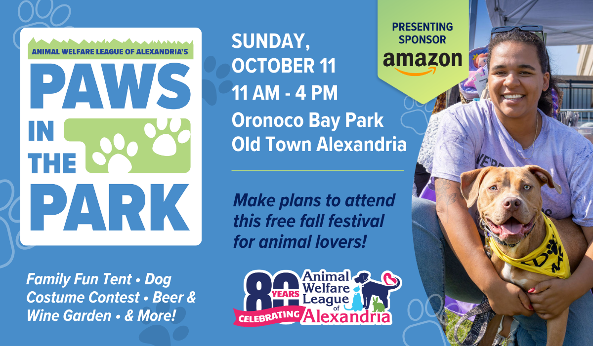 Paws in the Park