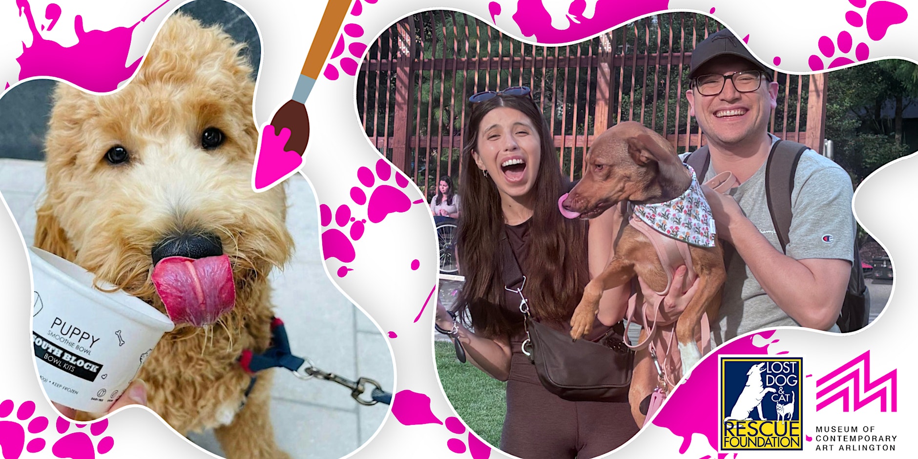 MoCA on the Move: Paw-casso Party + Adoption Event!