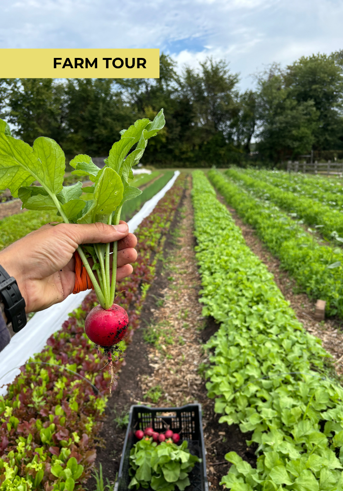 City Green’s Fall Farm Tour!