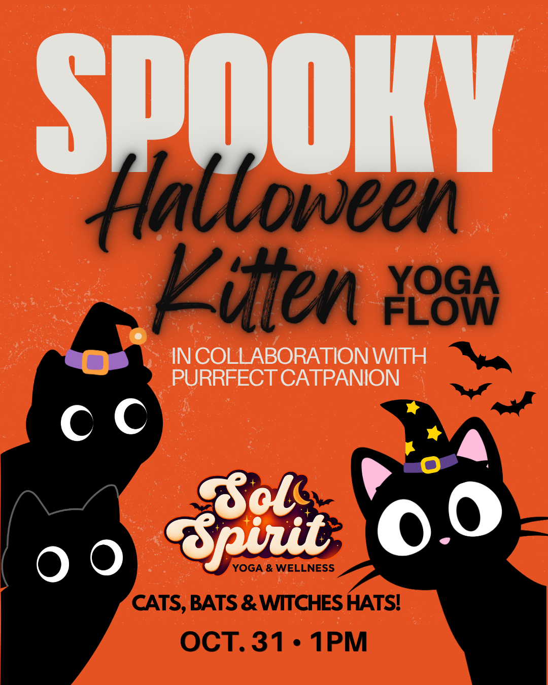 Halloween Kitten Yoga Flow