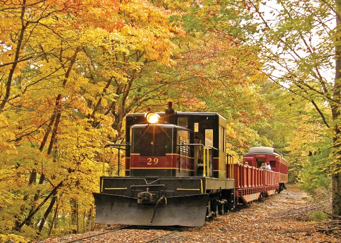Fall Foliage Adventure Trains