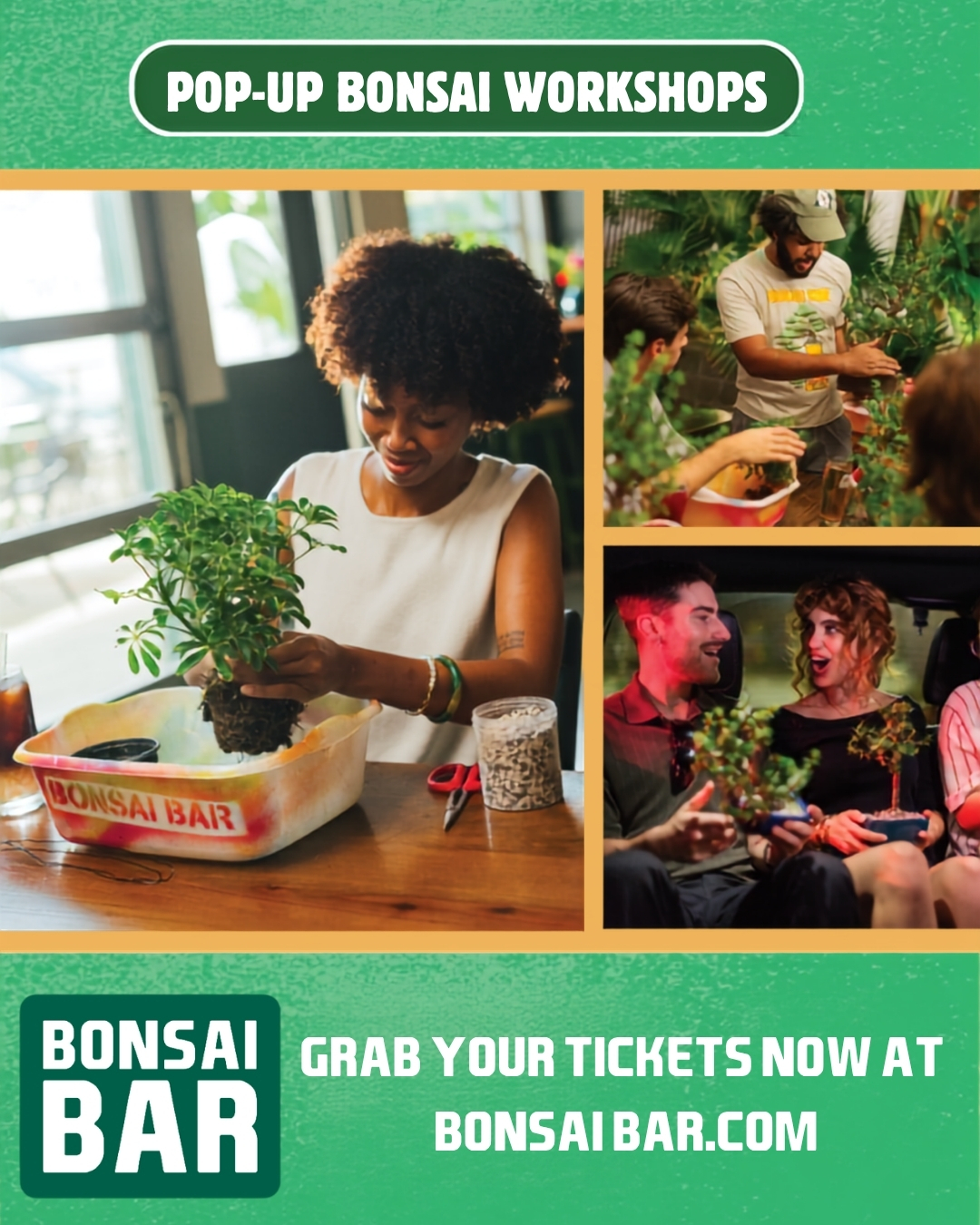 Bonsai Bar beginner workshop at Bolero Snort Brewery