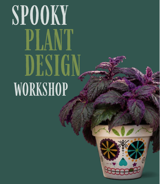 Spooky Plant Workshop