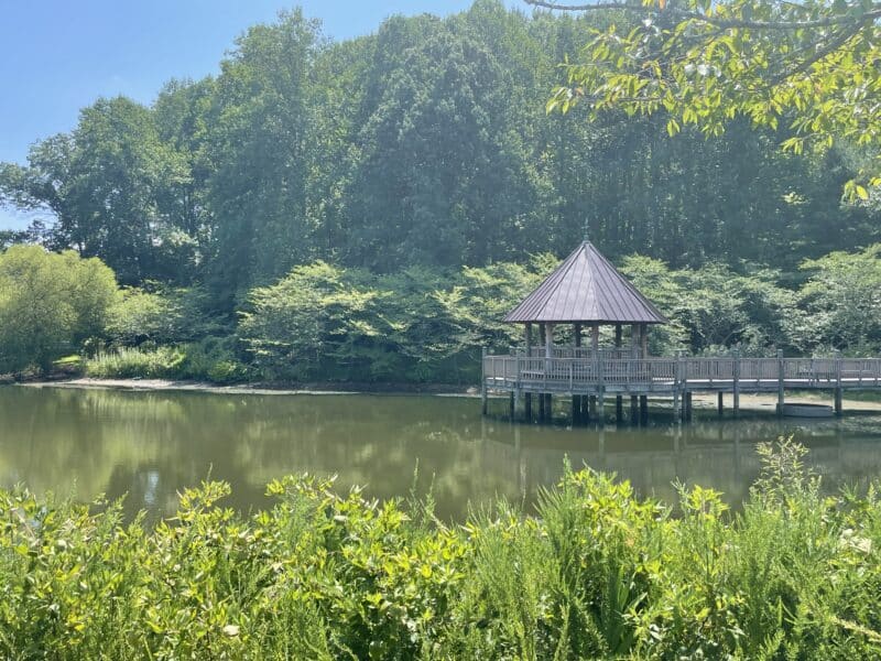 meadowlark gardens - main pond 