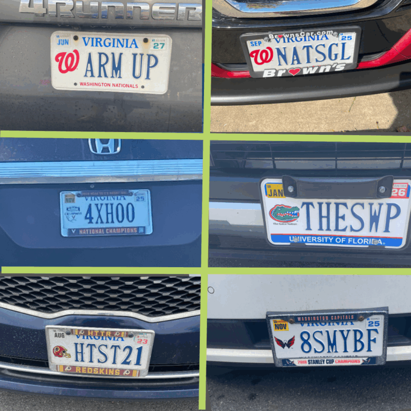 license plate collage - sports