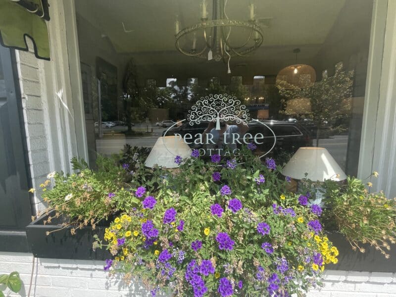 the exterior window of the pear tree cottage in vienna 
