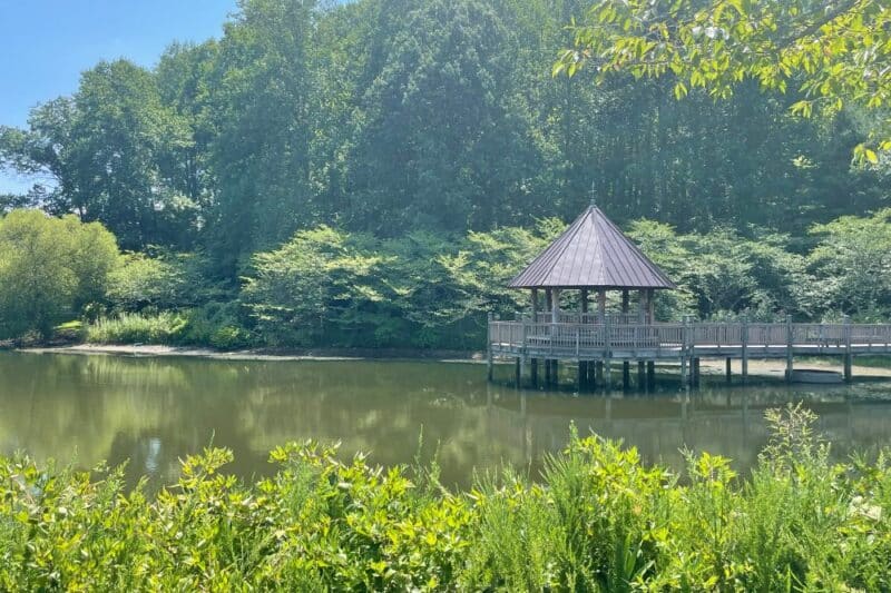 meadowlark gardens