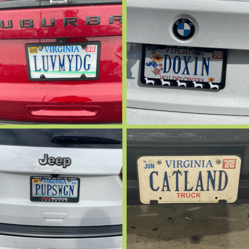pet lover license plate