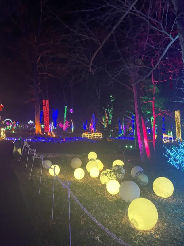 winter walk of lights at meadowlark gardens