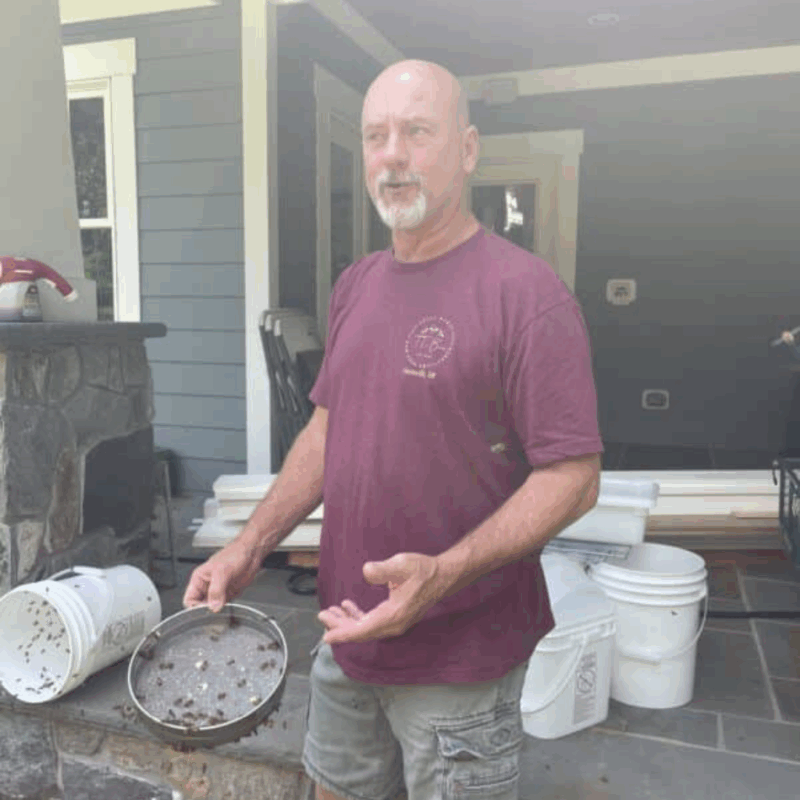 tagg timm explains bees