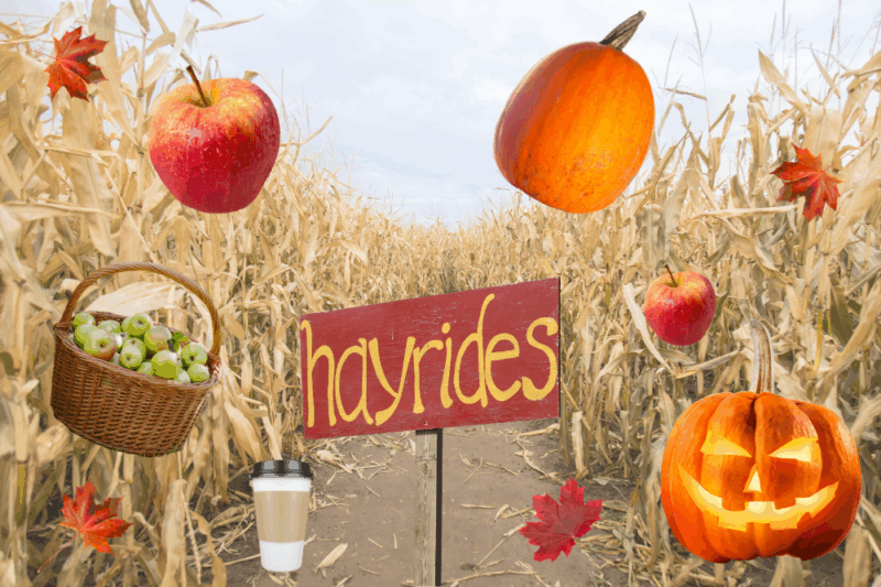 northern virginia fall bucket list