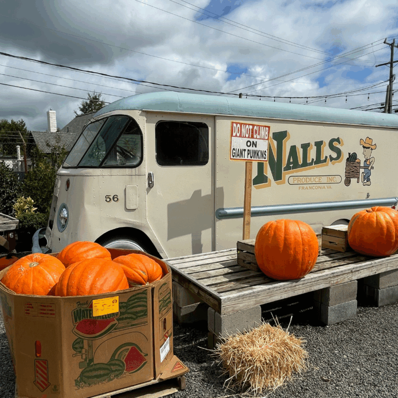 fall at nalls farm 