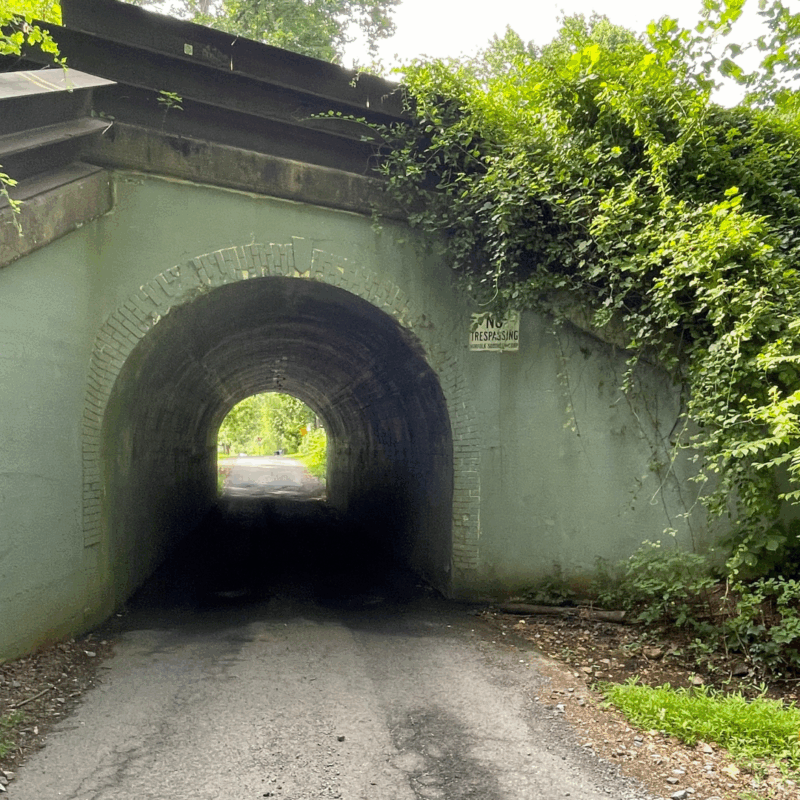 the bunnyman bridge