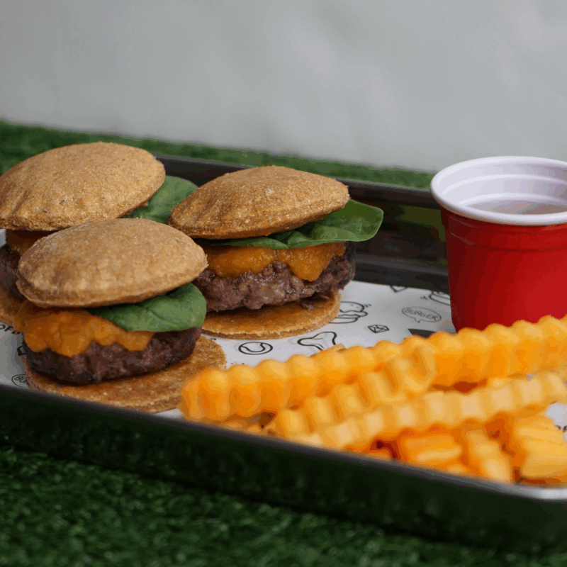 'dog food' from the woofbowl truck 
