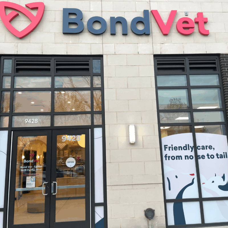 bond vet fairfax