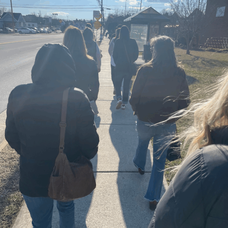 tour participants walk through annandale