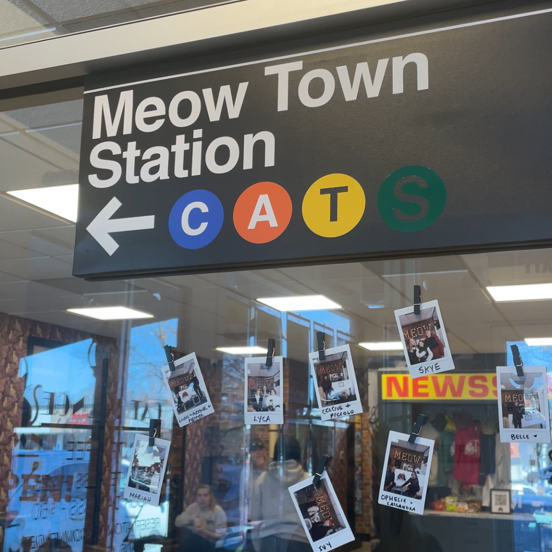 entrance sign at meow town 